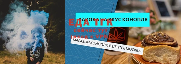 гидропоника Горняк