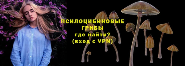 герыч Горнозаводск