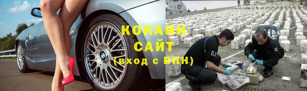 гидропоника Горняк