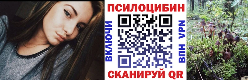 Галлюциногенные грибы MAGIC MUSHROOMS  Дальнереченск 