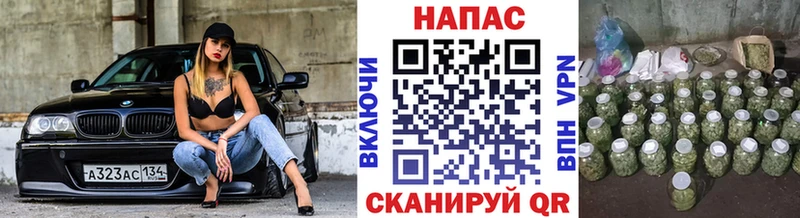 Бошки Шишки VHQ  где купить наркоту  Дальнереченск 